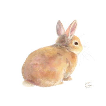 あの頃の温もり