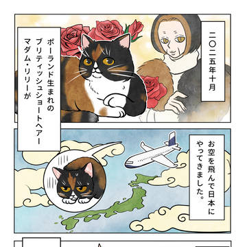 【マダムからご報告🌹】
