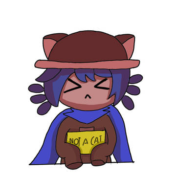 Not A Cat