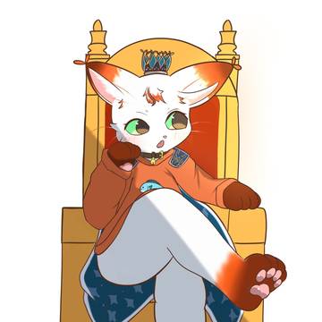 猫ちゃん
