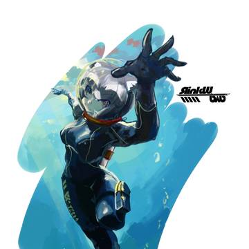 Diving Raccoon
