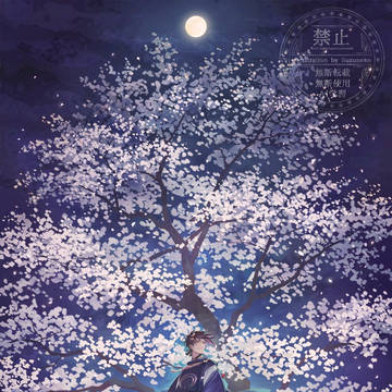 月下の桜