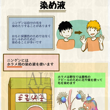 【ニンゲンの飼い方】図鑑『染め液』