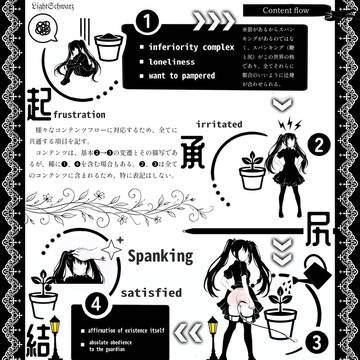 Guide-Schwarz