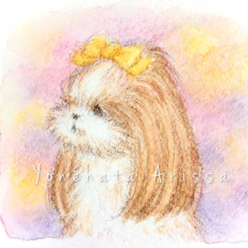 黄色のリボンのロングヘアシーズー