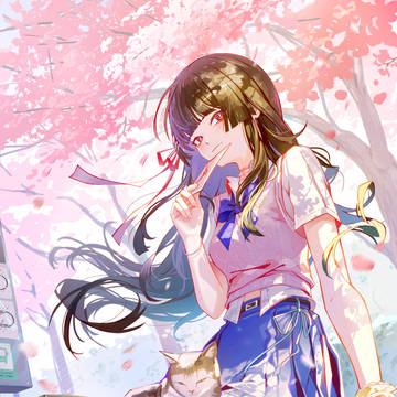 Chisa