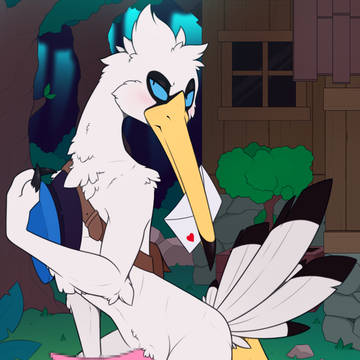 Mail Bird