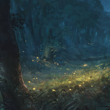 Nocturnal Forest