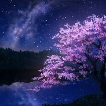 花散る前夜の桜