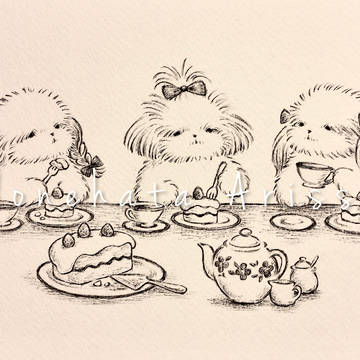 シーズーたちのお茶会