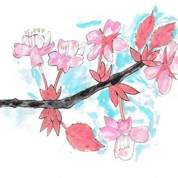 2026年新年度祝い　山桜