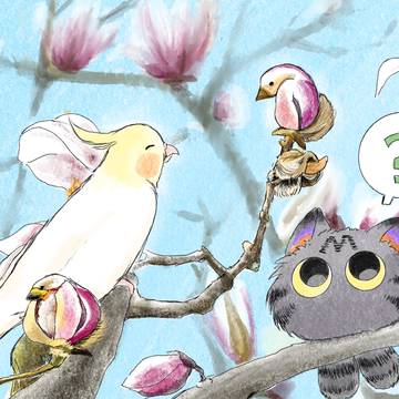 オカメインコ審神者 ～ふわふわと小鳥のつぼみ～