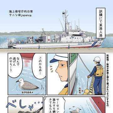 カモメを拾った時の話