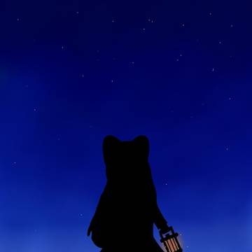 星の綺麗な夜に