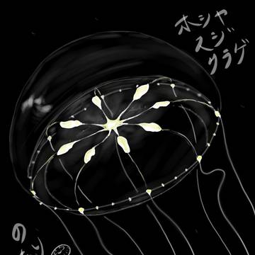 ホシヤスジクラゲのつもり