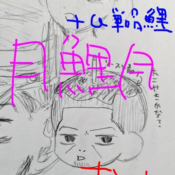 月鯉まとめ ＋α単品鯉