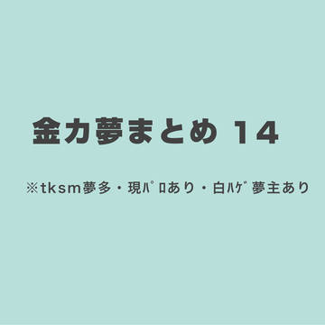 金カ夢まとめ14