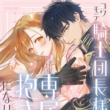 商業『コワモテ騎士団長様の専属抱き枕になりました』