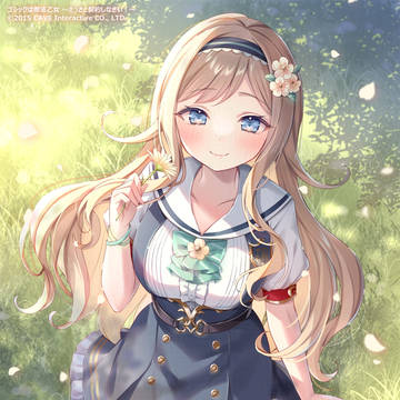 🌼カモミール🌼