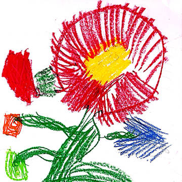 自由の花
