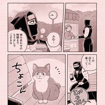 忍者さんとネコ