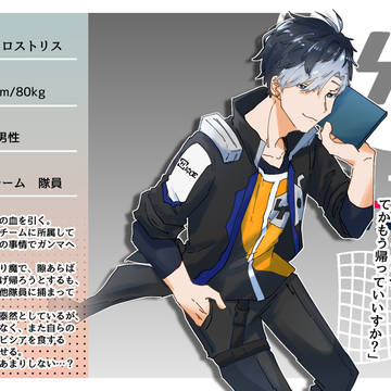 ファイナルラストはカモメニキ
