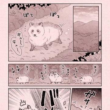忍者さんとたぬき