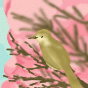 春ですねぇ