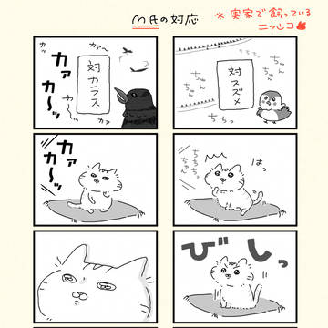 M氏の対応