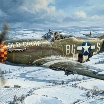 第8のエース バド・アンダーソン :  P-51D ムスタング
