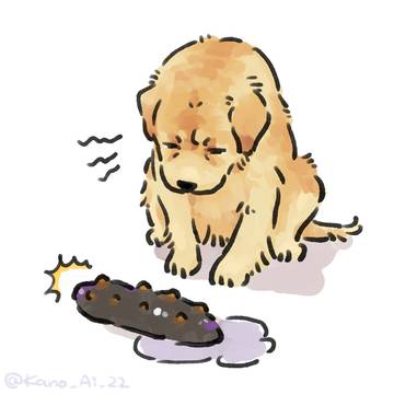 なまこと犬