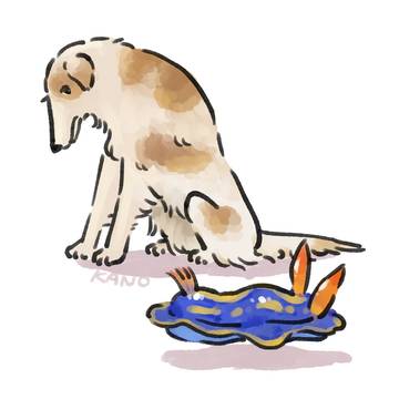 ボルゾイとウミウシ