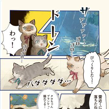 雷パニック🐈⚡
