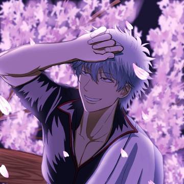夜桜と銀さん