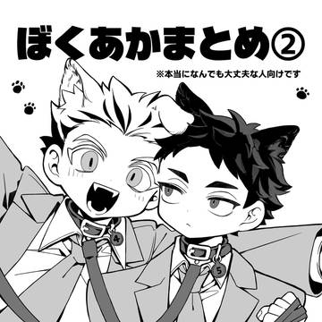 ぼくあかまとめ②