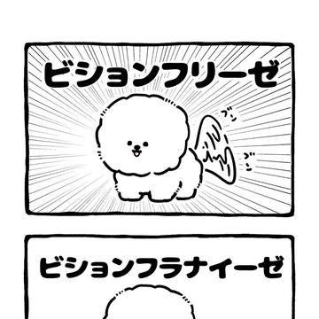 no.2232 『 ビションフリーゼ 』