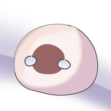 日向ぼっこする日本