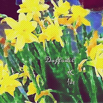 Spring Yellow