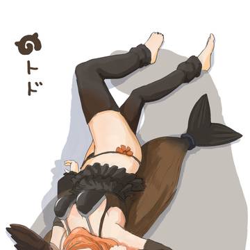トド