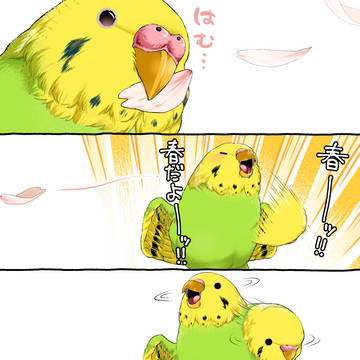 春だよー！！！