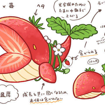 苺×水生動物