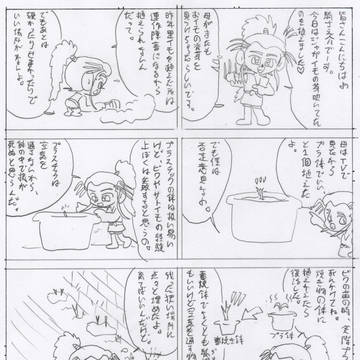 ジャガイモの苗の試み 001