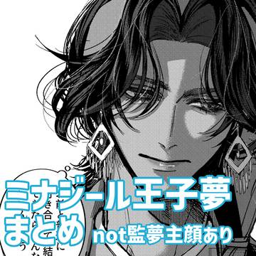 ミナジール王子夢まとめ