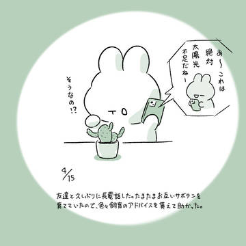 今日の日記