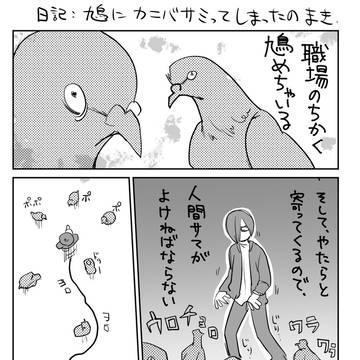 鳩にカニバサミしてしまったな日記