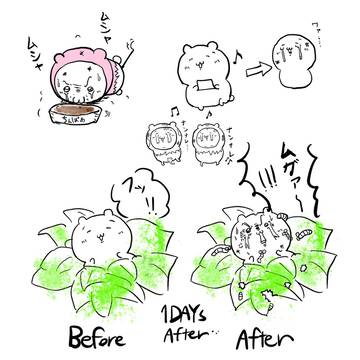 過去作まとめ①
