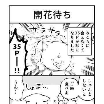 開花待ち
