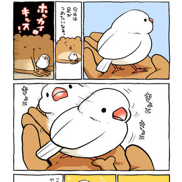 困惑