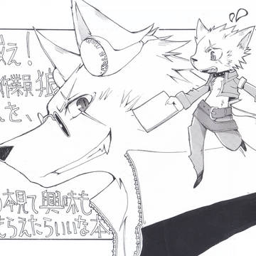 【関西けもケット11】新刊です