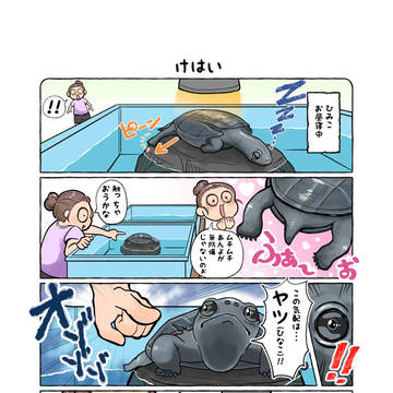 けはい